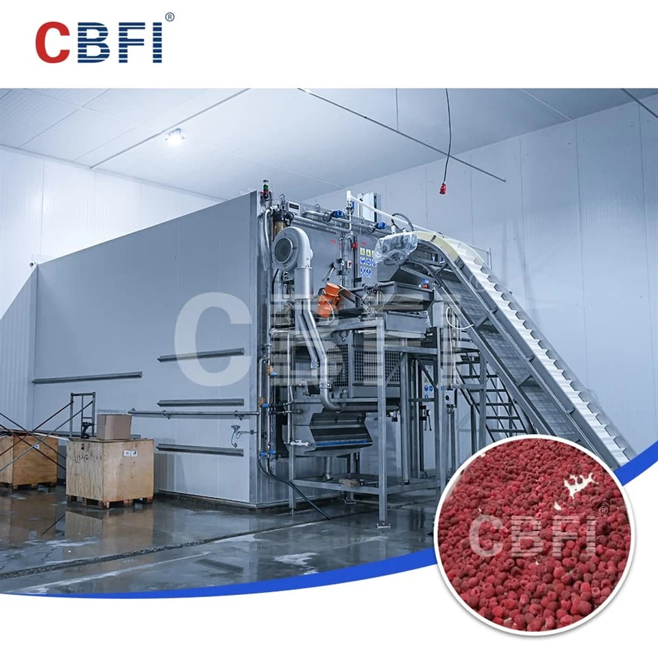 Rychlomrazák s fluidním ložem 2000 kg/h Posílení inovace odvětví Berry v pěti středoasijských zemích